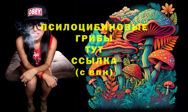 PSILOCYBIN Алзамай