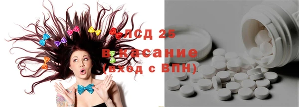 PSILOCYBIN Алзамай