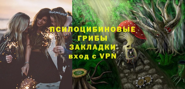 PSILOCYBIN Алзамай