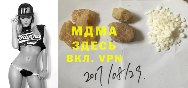 PSILOCYBIN Алзамай