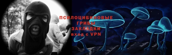 PSILOCYBIN Алзамай