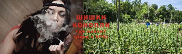 PSILOCYBIN Алзамай