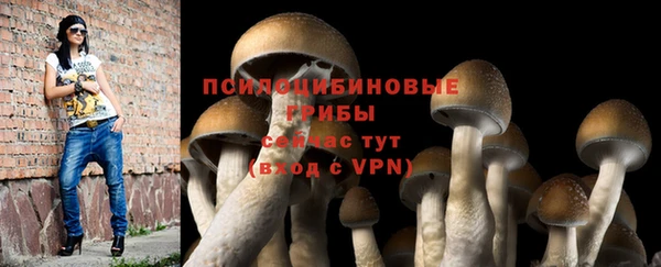 PSILOCYBIN Алзамай