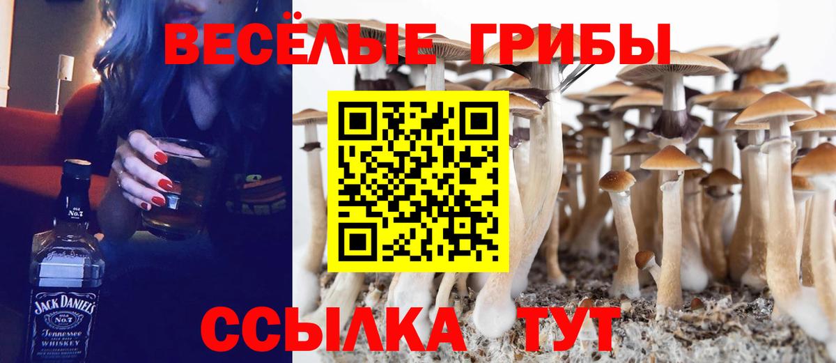 Галлюциногенные грибы Psilocybine cubensis Аргун