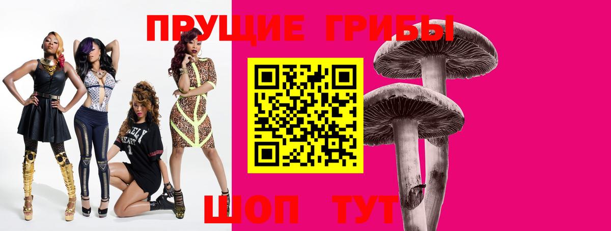 Галлюциногенные грибы Cubensis  Вход с VPN  Аргун 